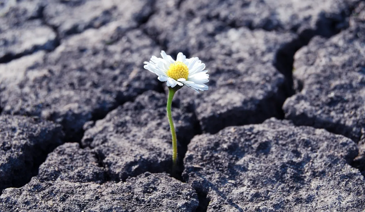 10 característica de las personas resilientes