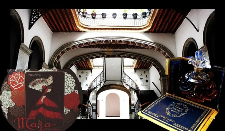 5 museos que puede recorrer en la CDMX