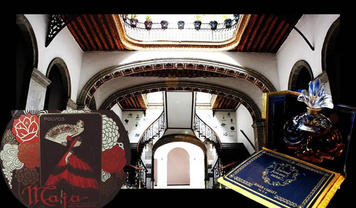5 museos que puede recorrer en la CDMX