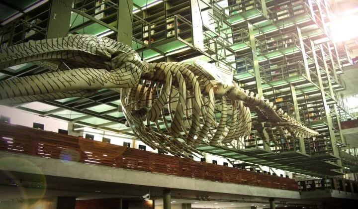 6 bibliotecas en México que debes conocer