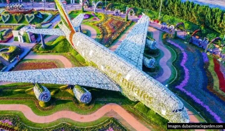 Así es el jardín más grande del mundo