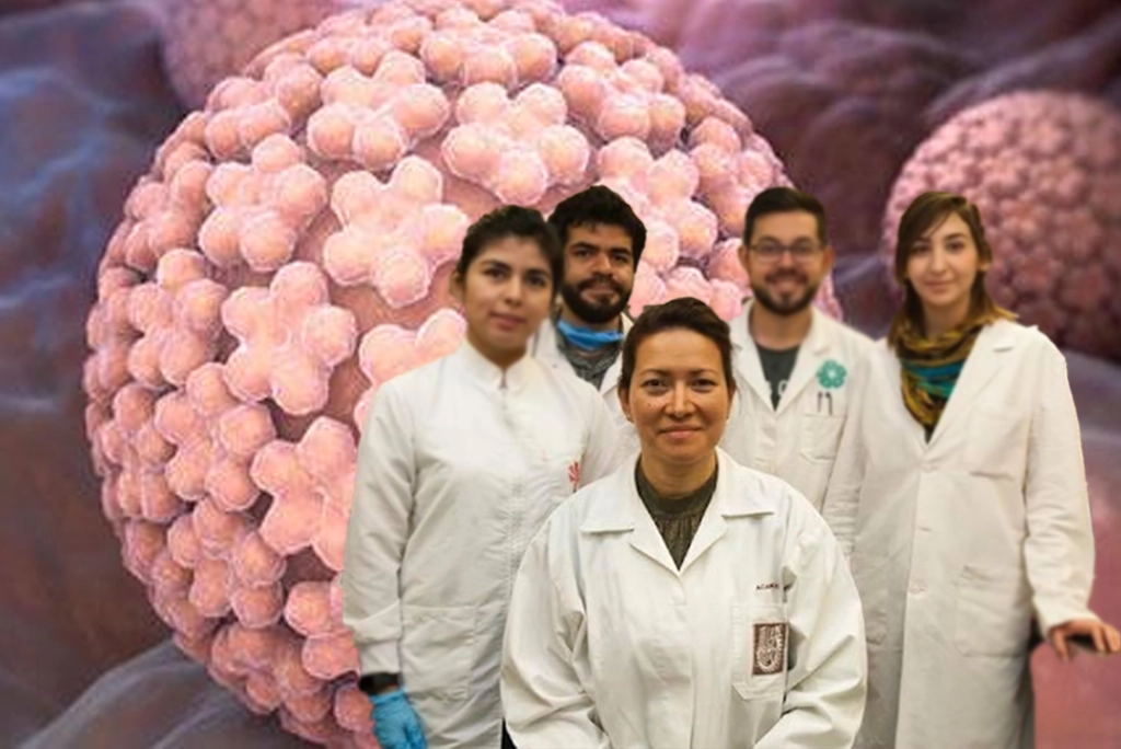Cientifica mexicana del IPN logra eliminar el VPH en mujeres