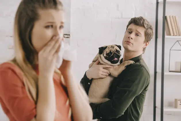 Cómo Funciona la Custodia Compartida para Mascotas en un Divorcio