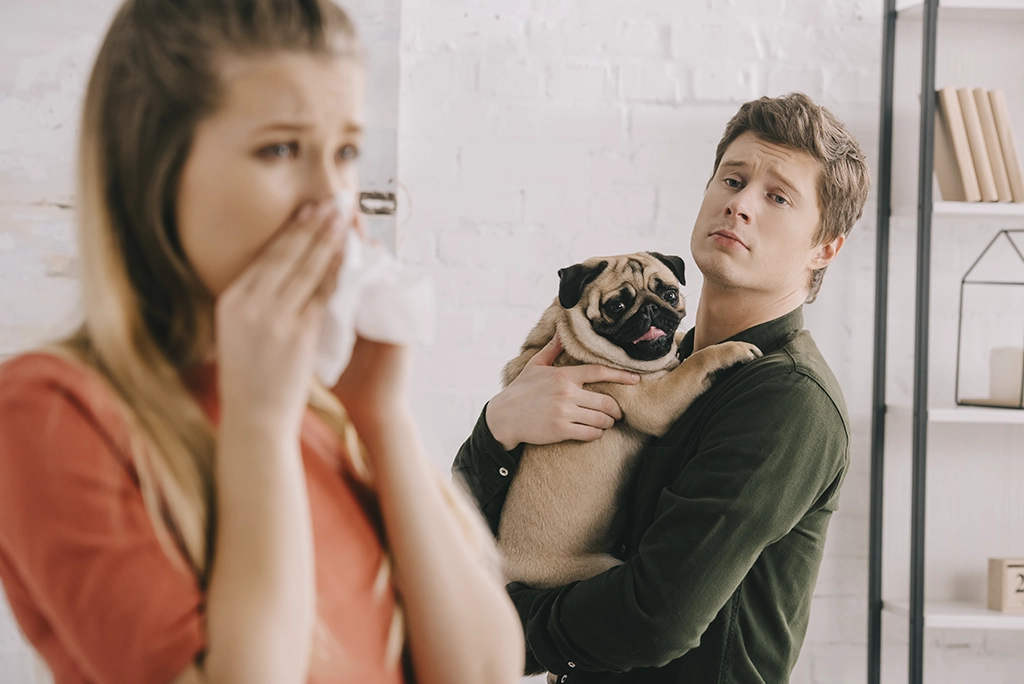 Cómo Funciona la Custodia Compartida para Mascotas en un Divorcio