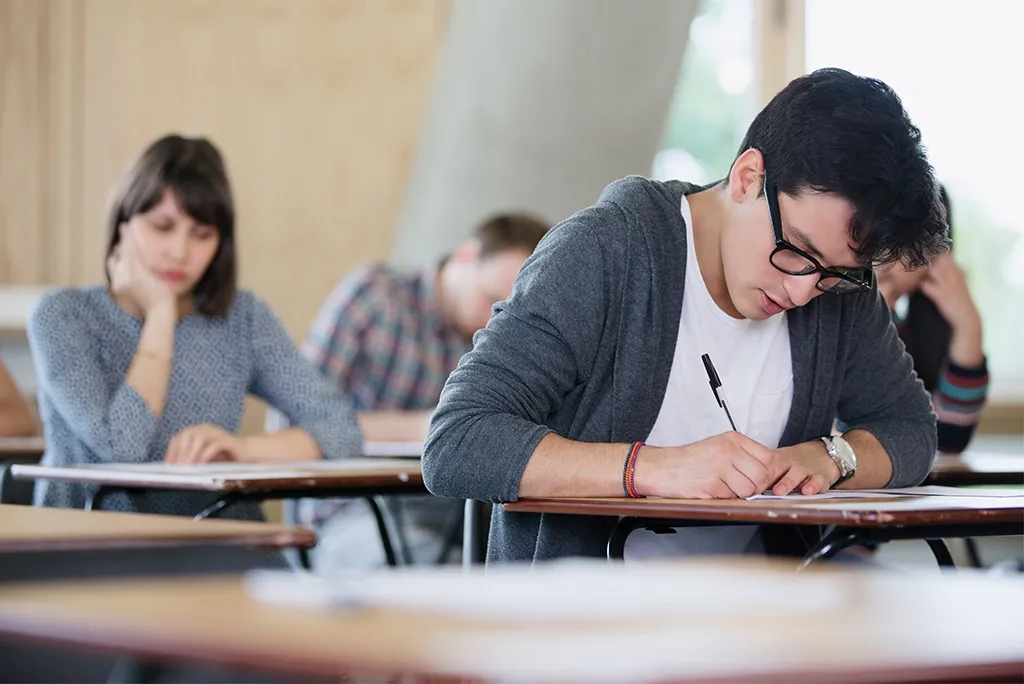 Domina los exámenes de ensayo: organiza tus Ideas con éxito