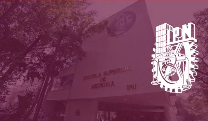 Becas IPN