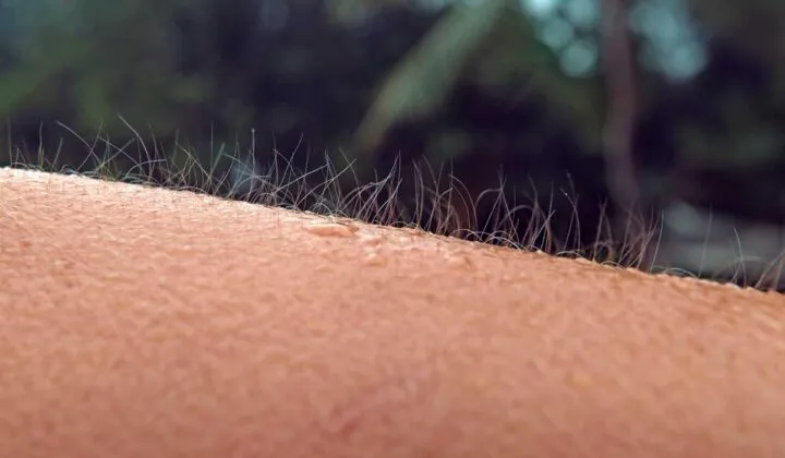 13 Cosas que hace tu cuerpo, explicadas por la ciencia
