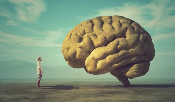 Hábitos que podrían dañar tu cerebro y que parecen buenos
