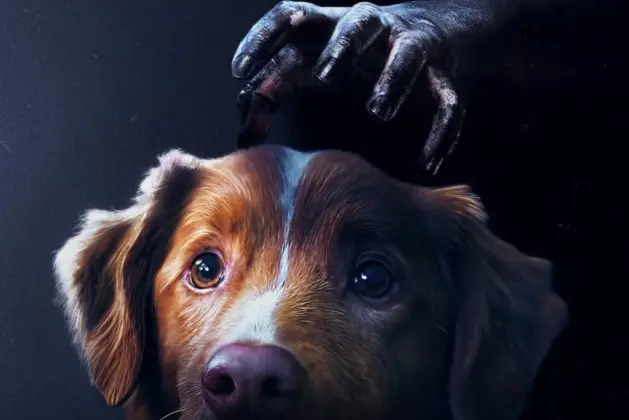 Los perros pueden ver a los muertos_película Good Boy