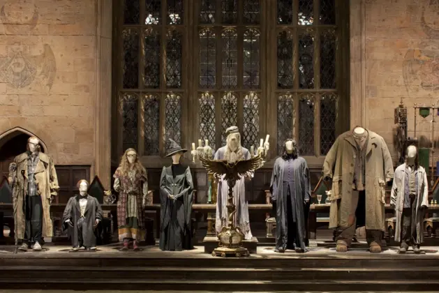 Profesores de Harry Potter_Cual enseñaria mejor tu carrera universitaria