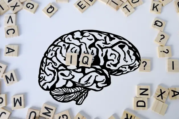 imagen del contorno de un cerebro humano como símbolo relacionado con el coeficiente intelectual, representando la importancia del IQ en el desarrollo personal.