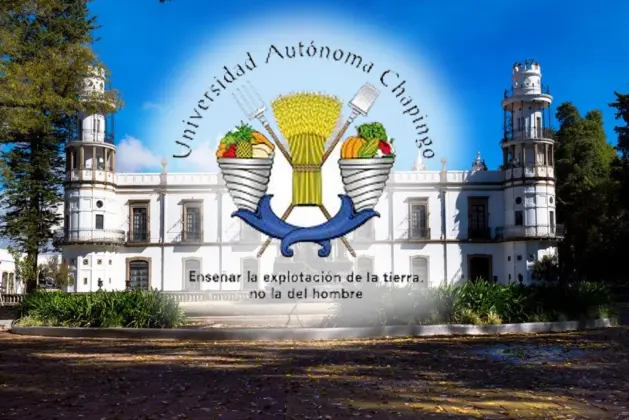 que-carreras-puedes-estudiar-en-la-universidad-chapingo