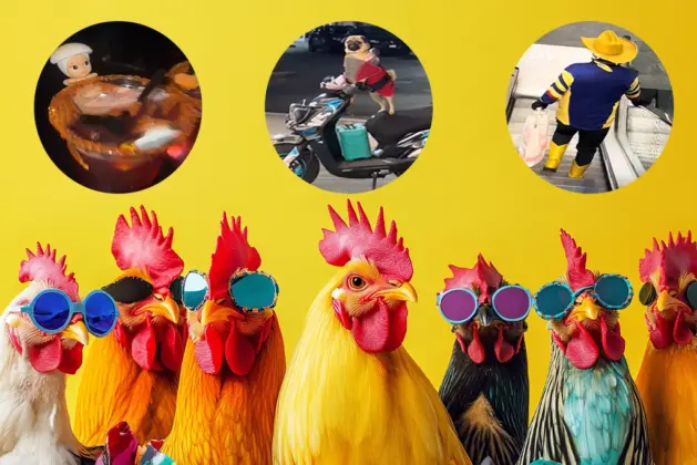 que-significa-entender-la-fokin-vibra-tendencia-en-tiktok