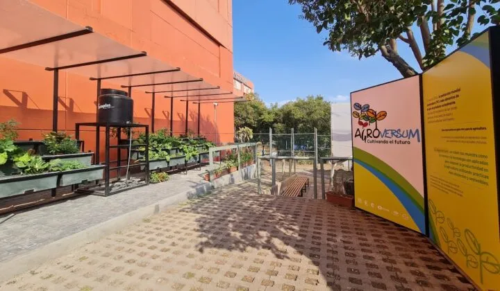 ¿Un robot agricultor? Conócelo en Universum